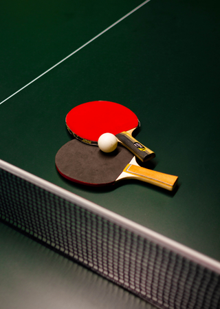 Stage de Ping-pong, Vacances en famille, Sport